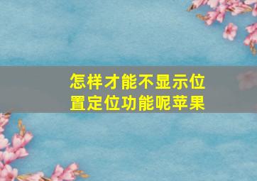 怎样才能不显示位置定位功能呢苹果