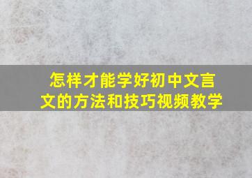 怎样才能学好初中文言文的方法和技巧视频教学