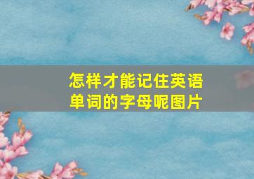 怎样才能记住英语单词的字母呢图片