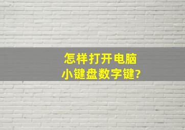 怎样打开电脑小键盘数字键?