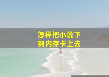 怎样把小说下到内存卡上去