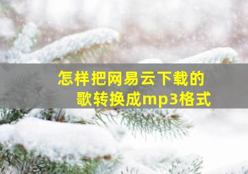 怎样把网易云下载的歌转换成mp3格式