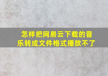 怎样把网易云下载的音乐转成文件格式播放不了