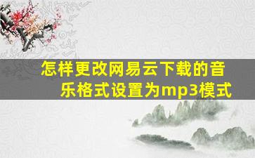 怎样更改网易云下载的音乐格式设置为mp3模式