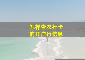 怎样查农行卡的开户行信息