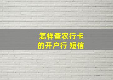 怎样查农行卡的开户行 短信