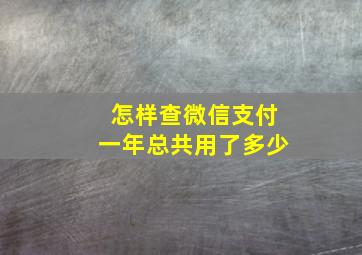 怎样查微信支付一年总共用了多少