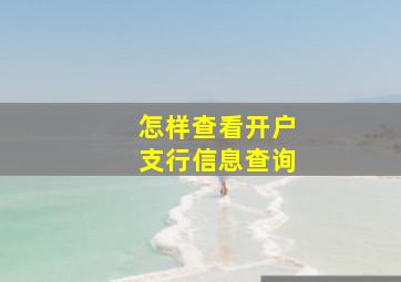 怎样查看开户支行信息查询