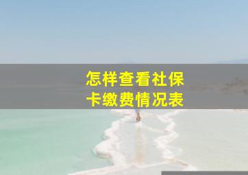 怎样查看社保卡缴费情况表