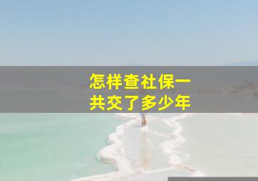 怎样查社保一共交了多少年