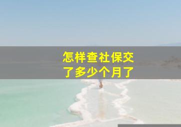 怎样查社保交了多少个月了