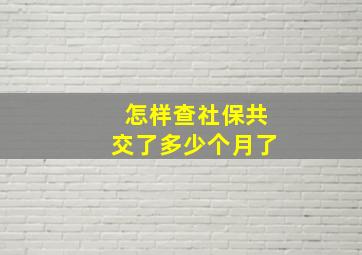 怎样查社保共交了多少个月了