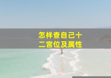 怎样查自己十二宫位及属性