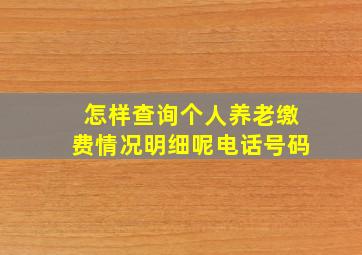 怎样查询个人养老缴费情况明细呢电话号码