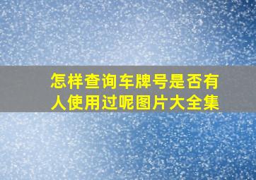 怎样查询车牌号是否有人使用过呢图片大全集