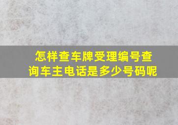 怎样查车牌受理编号查询车主电话是多少号码呢