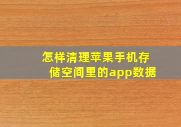 怎样清理苹果手机存储空间里的app数据