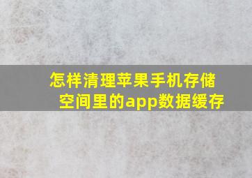 怎样清理苹果手机存储空间里的app数据缓存