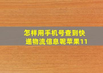 怎样用手机号查到快递物流信息呢苹果11