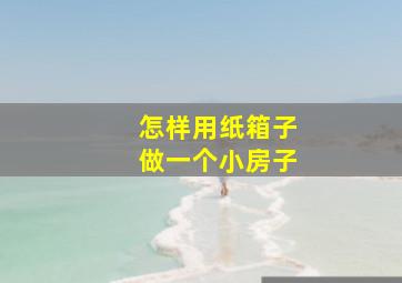 怎样用纸箱子做一个小房子