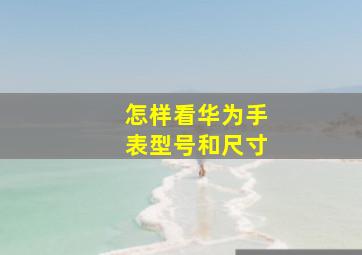 怎样看华为手表型号和尺寸