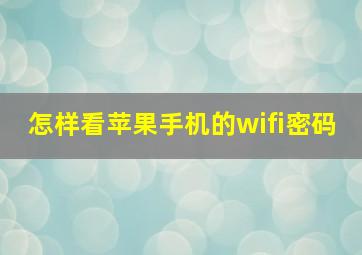 怎样看苹果手机的wifi密码