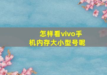 怎样看vivo手机内存大小型号呢