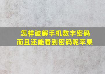 怎样破解手机数字密码而且还能看到密码呢苹果