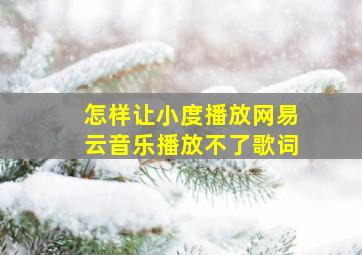 怎样让小度播放网易云音乐播放不了歌词