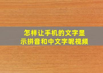 怎样让手机的文字显示拼音和中文字呢视频