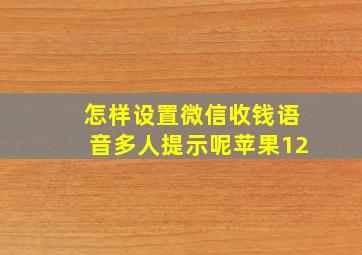 怎样设置微信收钱语音多人提示呢苹果12