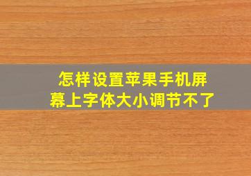 怎样设置苹果手机屏幕上字体大小调节不了