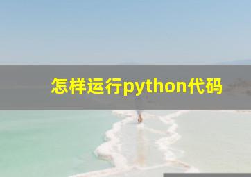 怎样运行python代码