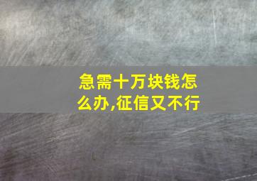 急需十万块钱怎么办,征信又不行