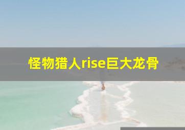 怪物猎人rise巨大龙骨