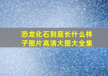 恐龙化石到底长什么样子图片高清大图大全集