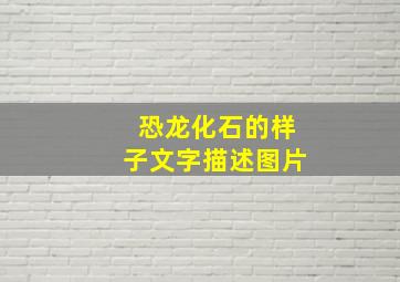 恐龙化石的样子文字描述图片