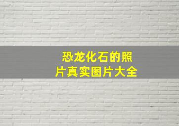 恐龙化石的照片真实图片大全