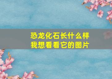 恐龙化石长什么样我想看看它的图片