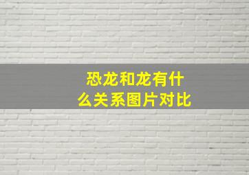 恐龙和龙有什么关系图片对比