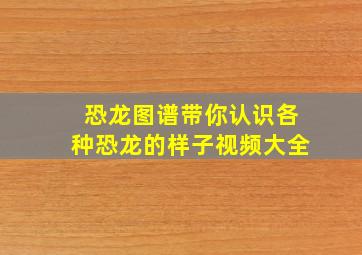 恐龙图谱带你认识各种恐龙的样子视频大全