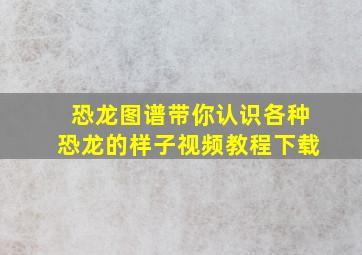 恐龙图谱带你认识各种恐龙的样子视频教程下载