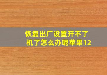 恢复出厂设置开不了机了怎么办呢苹果12