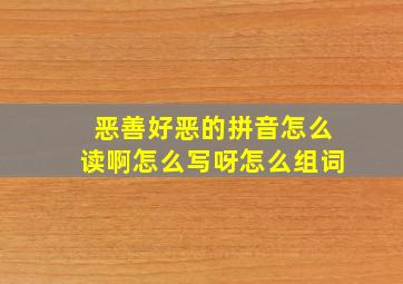 恶善好恶的拼音怎么读啊怎么写呀怎么组词