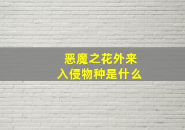 恶魔之花外来入侵物种是什么