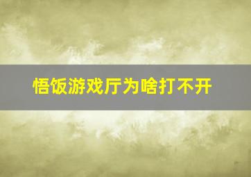 悟饭游戏厅为啥打不开