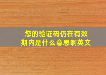 您的验证码仍在有效期内是什么意思啊英文