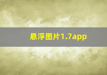 悬浮图片1.7app