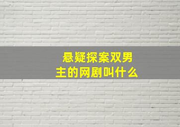 悬疑探案双男主的网剧叫什么