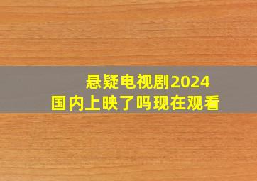 悬疑电视剧2024国内上映了吗现在观看